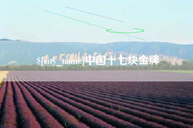 榆林中国十七块金牌