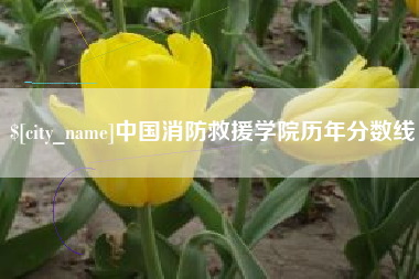 榆林中国消防救援学院历年分数线