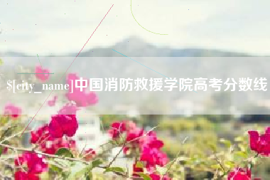 榆林中国消防救援学院高考分数线