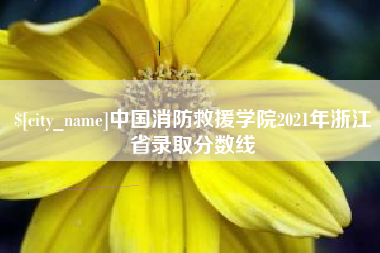 榆林中国消防救援学院2021年浙江省录取分数线
