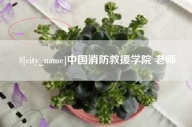 榆林中国消防救援学院 老师