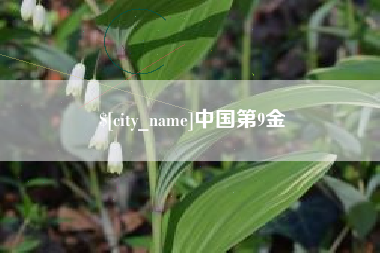 榆林中国第9金