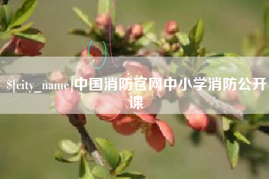 榆林中国消防官网中小学消防公开课