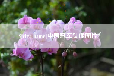 榆林中国冠军头像图片