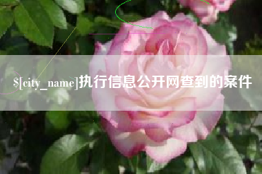 榆林执行信息公开网查到的案件