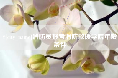榆林消防员报考消防救援学院年龄条件