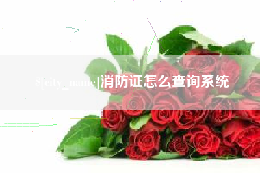 榆林消防证怎么查询系统
