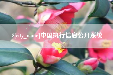 榆林中国执行信息公开系统