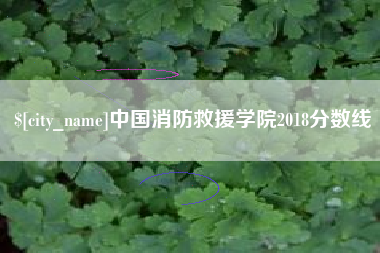 榆林中国消防救援学院2018分数线