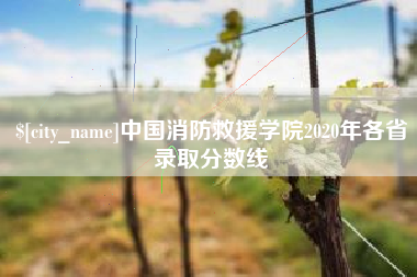 榆林中国消防救援学院2020年各省录取分数线