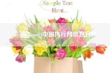 榆林中国执行网信息官网