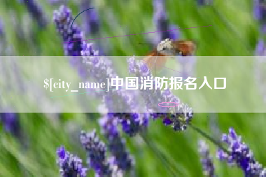 榆林中国消防报名入口