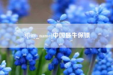 榆林中国最牛保镖