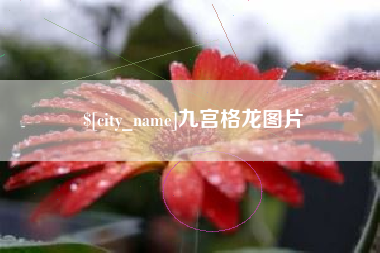 榆林九宫格龙图片