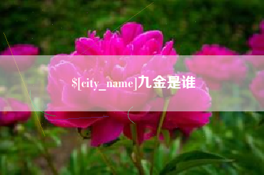 榆林九金是谁