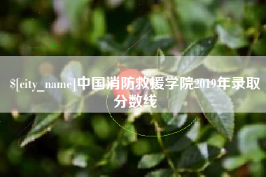 榆林中国消防救援学院2019年录取分数线
