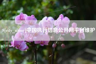 榆林中国执行信息公开网平台维护