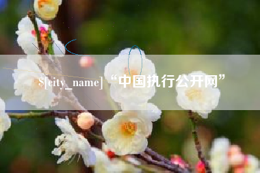 榆林“中国执行公开网”