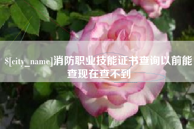 榆林消防职业技能证书查询以前能查现在查不到