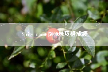 榆林5000米及格成绩