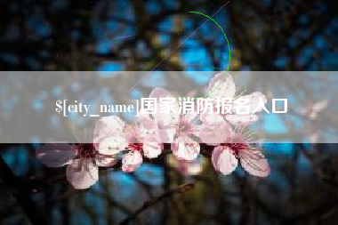 榆林国家消防报名入口
