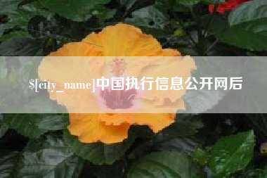 榆林中国执行信息公开网后