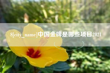 榆林中国金牌是哪些项目2021
