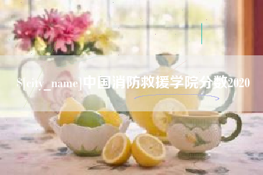 榆林中国消防救援学院分数2020