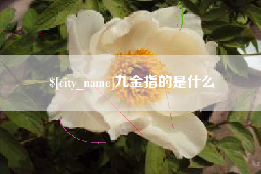 榆林九金指的是什么