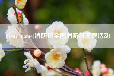 榆林消防日全国消防日主题活动