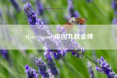 榆林中国九枚金牌