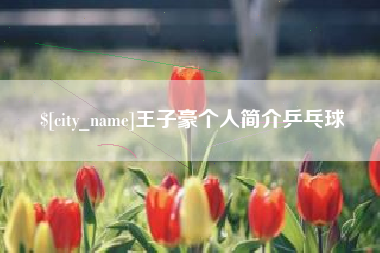 榆林王子豪个人简介乒乓球