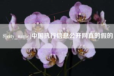 榆林中国执行信息公开网真的假的