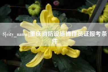 榆林重庆消防设施操作员证报考条件
