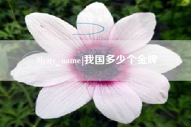 榆林我国多少个金牌