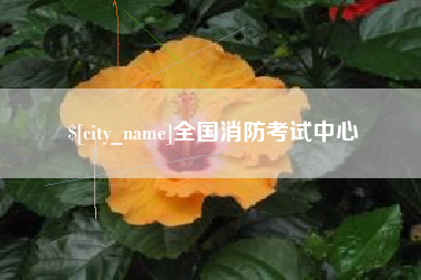 榆林全国消防考试中心
