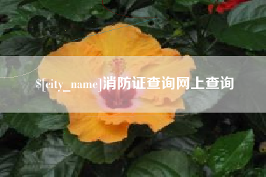 榆林消防证查询网上查询
