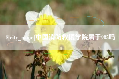 榆林中国消防救援学院属于985吗