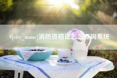 榆林消防资格证怎么查询系统