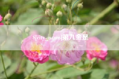 榆林第九金是