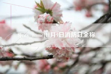 榆林11月9日消防日全称
