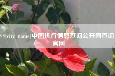 榆林中国执行信息查询公开网查询官网