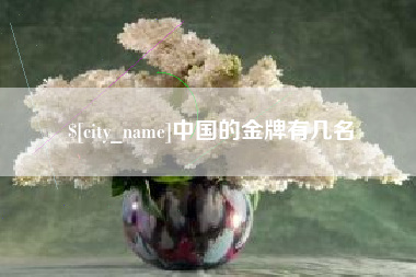 榆林中国的金牌有几名