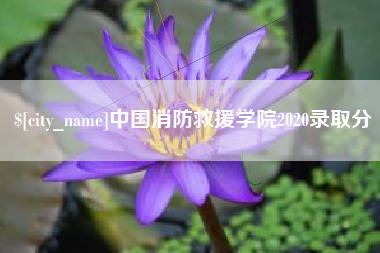 榆林中国消防救援学院2020录取分