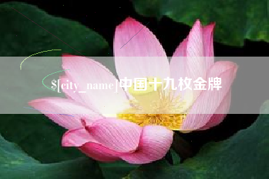 榆林中国十九枚金牌