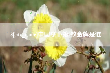 榆林中国拿下第9枚金牌是谁