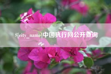 榆林中国执行网公开查询