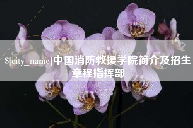 榆林中国消防救援学院简介及招生章程指挥部