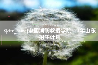榆林中国消防救援学院2021年山东招生计划