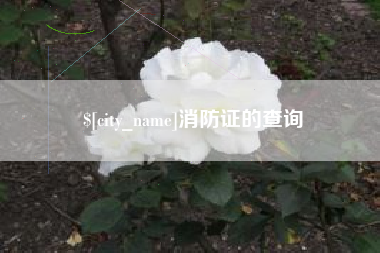 榆林消防证的查询